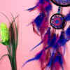 Wholesale Compilation of Feather Dream Catchers