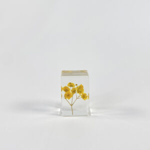 Yellow gypsophila (6 starting shots)