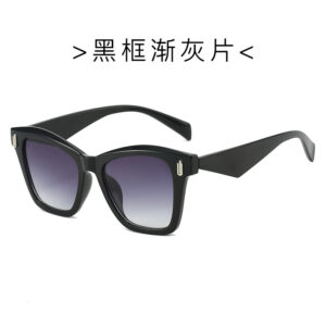C2 black frame gray European and American sunglasses