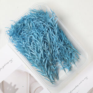 Bleached thousand layers gold sky blue 10g