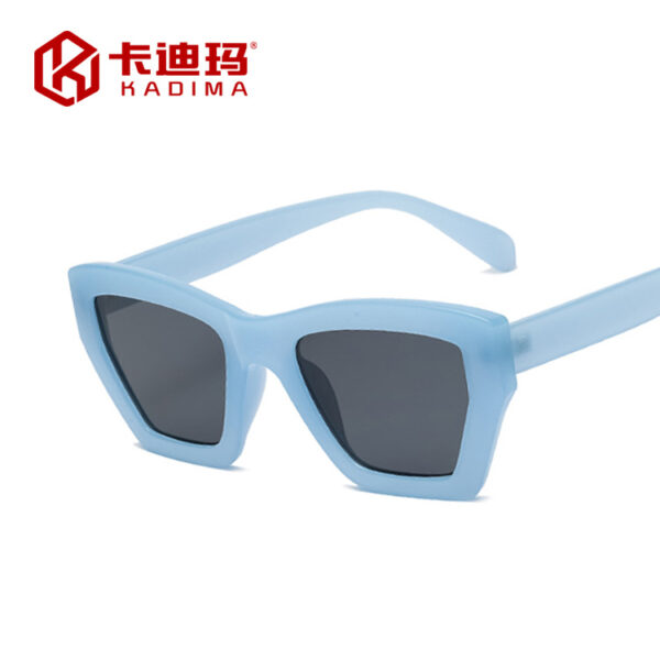 O1CN01SJp3sQ2Dkpxitg4JJ_2991398648-0-cib Wholesale Irregular PC Sunglasses