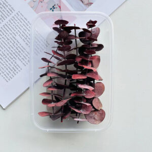 Boxed red eucalyptus (10 pieces)