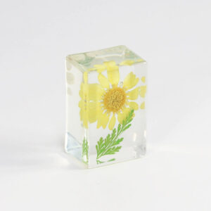 Yellow sunflower (6 starting shots)