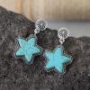 O1CN01V52e5L1qyMX3YPmp2_2206372095564-0-cib Wholesale of Western Fengda Five-point Star Turquoise Alloy Earrings