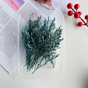 Blue lover grass 10g