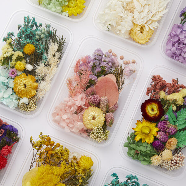 Wholesale DIY Handmade Mixed Dried Flowers Boxed Material Package Real Flowers Natural Air-dried Decorative Ornaments Dripping Glue Flower Material