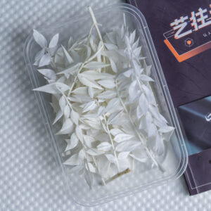 White rich leaves 10g