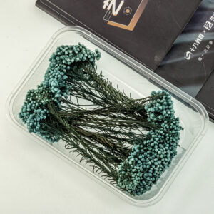 Ni blue millet flower