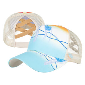 B808 blue sky and white clouds