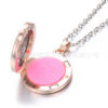 O1CN01Y7T6oz21wUVtkZVRt_6000000007049-0-cib Wholesale Alloy Aromatherapy Necklace