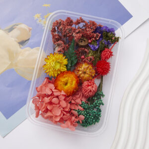 10# colorful red dried flower box