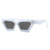 Wholesale Personality Irregular PC Sunglasses