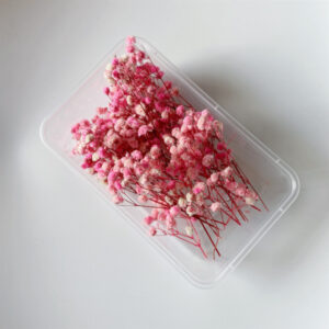 Pink gypsophila 10g