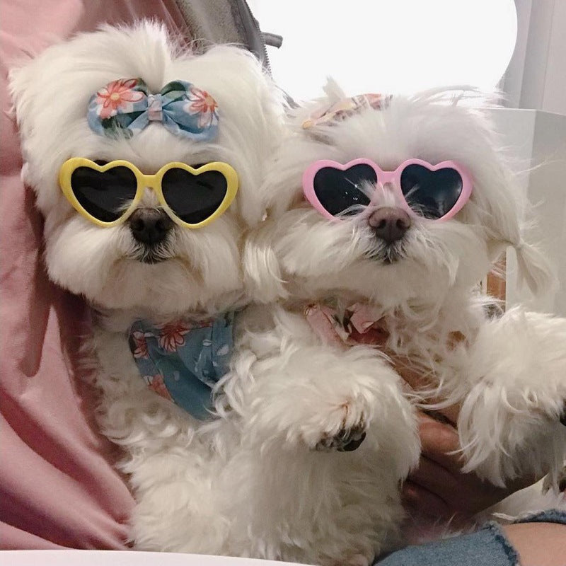 Wholesale Pet PC Sunglasses