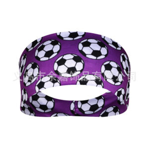 Fa2-29 football purple