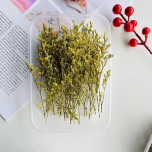 Yellow lover grass 10g
