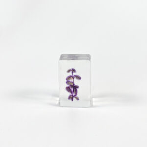 A bunch of purple (starting at 6)