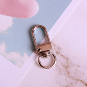 Silver / Small door buckle