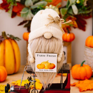 Harvest season country dwarf ornaments White