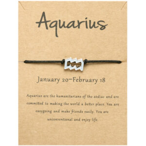 Aquarius Aquarius Silver