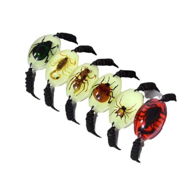 O1CN01aMHCtY1Bs2prchZyq_0-0-cib Wholesale 6pcs High Transparent Resin Insect Amber Woven Specimen Bracelet