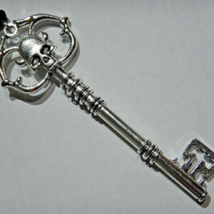 Wholesale Gothic Dark Skull Key Necklace