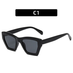 C1-black frame gray