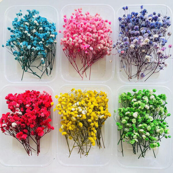 Wholesale Dried Fruit Cinnamon Dried Flowers Diy Material Package Natural Plant Candle Handmade Plaster Making Decoration