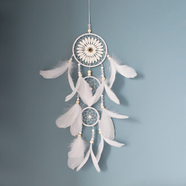 O1CN01c0vB6t1jgJTdhg3T1_3432204577-0-cib Wholesale White and Black Minimalist Feather Dream Catcher Decorations