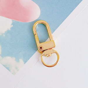 kc gold / Small door buckle