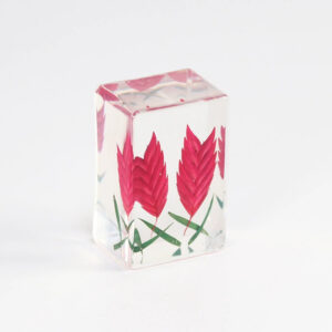 Red wheat ears (6 starting shots)