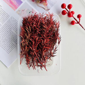 Red thousand layer gold 10g