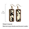 O1CN01dESOZD1zp31ncVyI0_2215459036762-0-cib Wholesale Western Leopard Print Minimalist Bar Leather Retro Geometric Texture Inlaid Earrings
