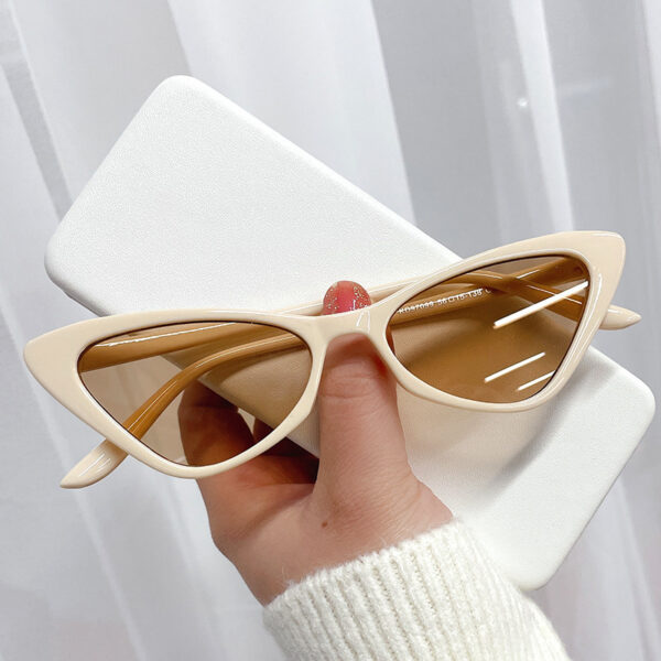 Wholesale Small Frame Cat Eye PC Sunglasses