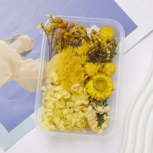 9# lime yellow dried flower box