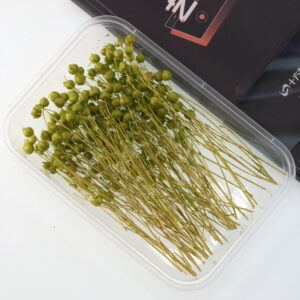 Light green acacia beans 10g