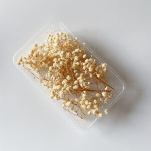 White gypsophila 10g