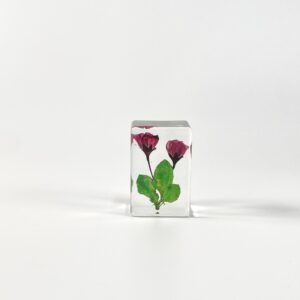 Haitang (6 starting shots)