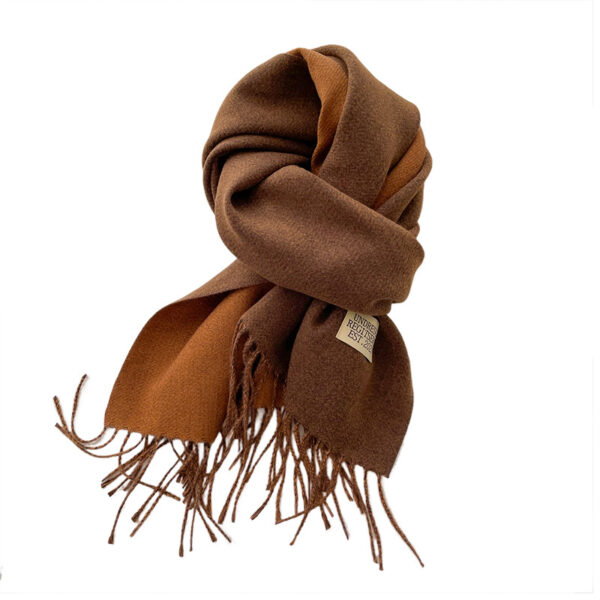 O1CN01fNM1AL1D07TThfQIe_961070153-0-cib-1 Wholesale Double-sided Solid Color Scarf for Women Autumn and Winter Thickened Imitation Cashmere Tassel Shawl