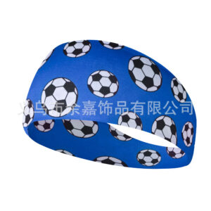 Fa2-31 football blue