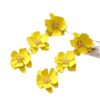 O1CN01fXyGUP21msUI7EwR5_1121057028-0-cib Wholesale Dopamine Flower Earrings