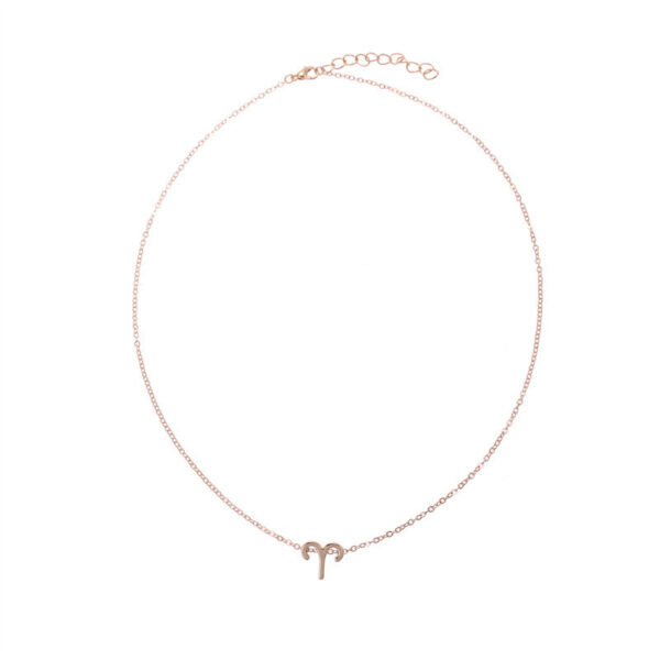 Wholesale of Twelve Constellations Necklaces and Collarbone Chains