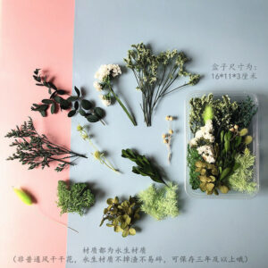 Early summer