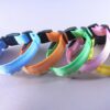 Wholesale Nylon LED Dog Luminous Collars, Night Luminous Pet Collar Straps