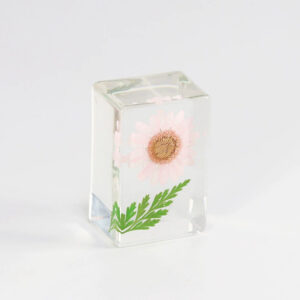 Pink sunflower (6 shots minimum)