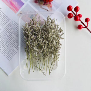 Original color lover grass 10g