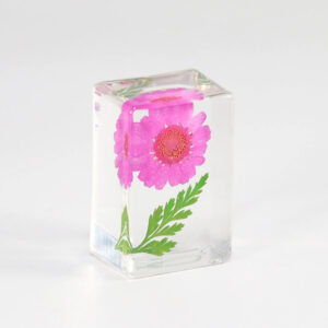 Rose red sunflower (6 starting shots)