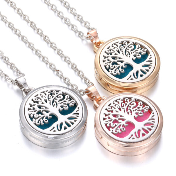 O1CN01gjIHiL1sXSK0DRfLX__6000000005776-0-cib Wholesale Alloy Aromatherapy Necklace