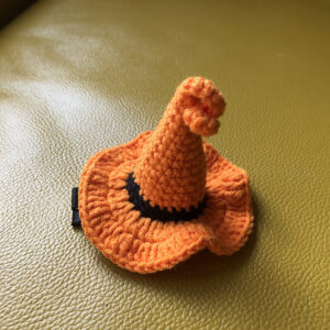 Orange Witch Hat