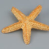 Wholesale Starfish Alloy Earrings
